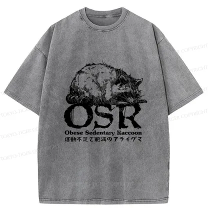 Tokyo-Tiger Fat Raccoon Washed T-Shirt