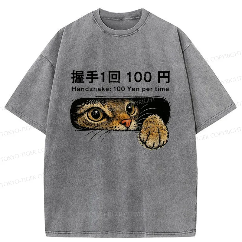 Tokyo-Tiger Shake Hands With Cat For A Fee Washed T-Shirt