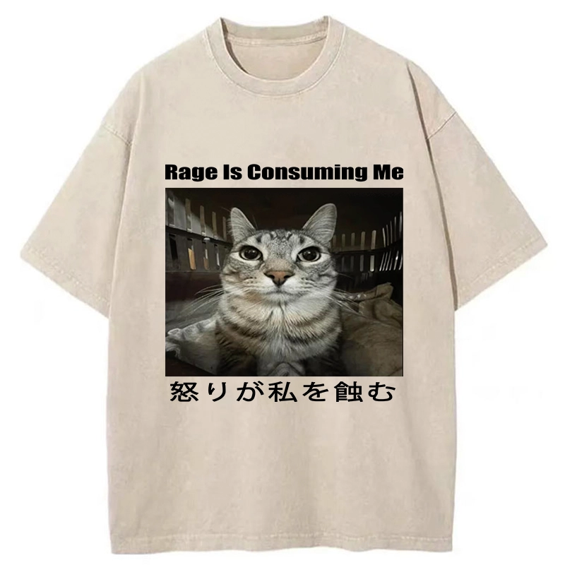 Tokyo-Tiger Rage Is Consuming Me Japan Washed T-Shirt
