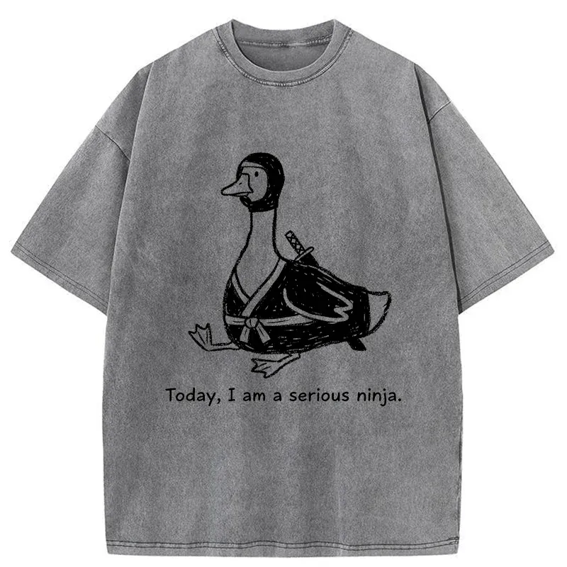 Tokyo-Tiger Ninja Goose Washed T-Shirt