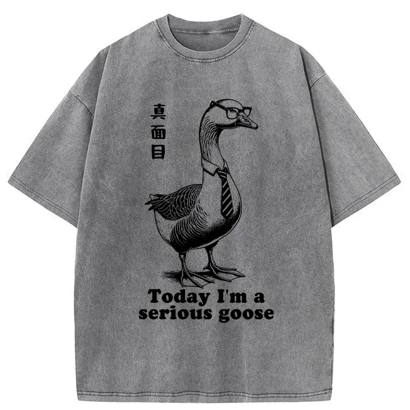 Tokyo-Tiger Serious Goose Washed T-Shirt
