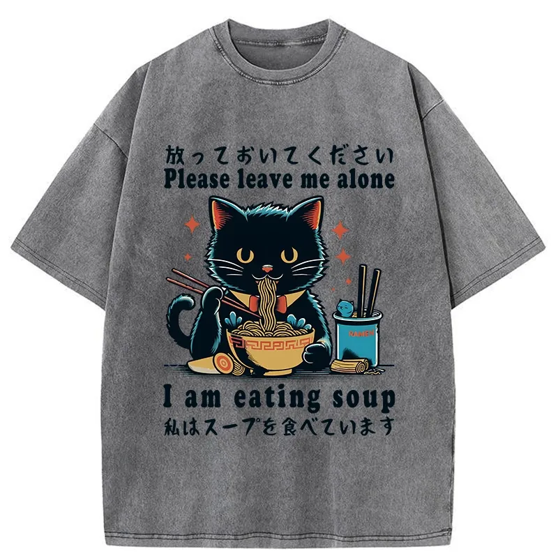 Tokyo-Tiger Cat Enchanted By Ramen Washed T-Shirt