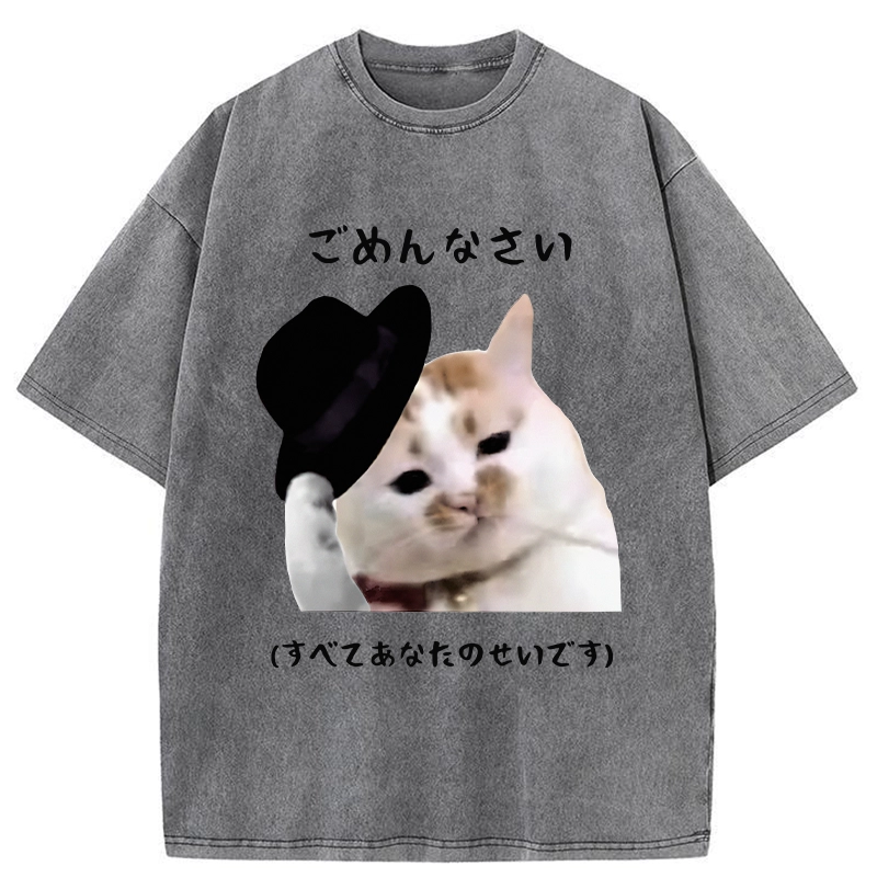 Tokyo-Tiger Sorry It's All Your Fault Washed T-Shirt