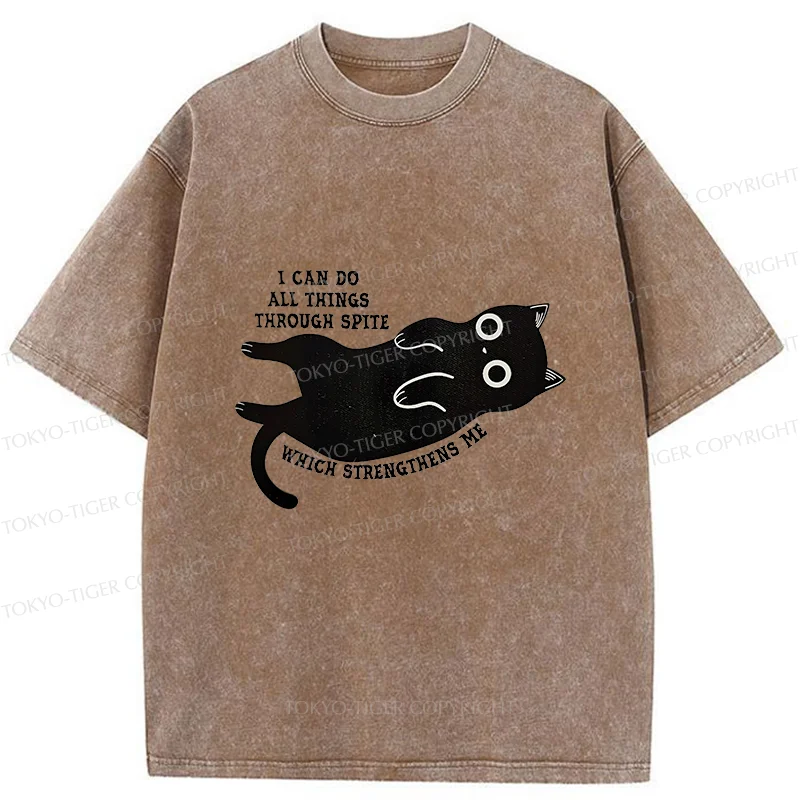 Tokyo-Tiger Cat Can Do All Things Spite Washed T-Shirt