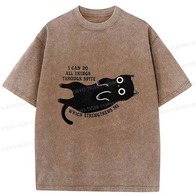 Tokyo-Tiger Cat Can Do All Things Spite Washed T-Shirt