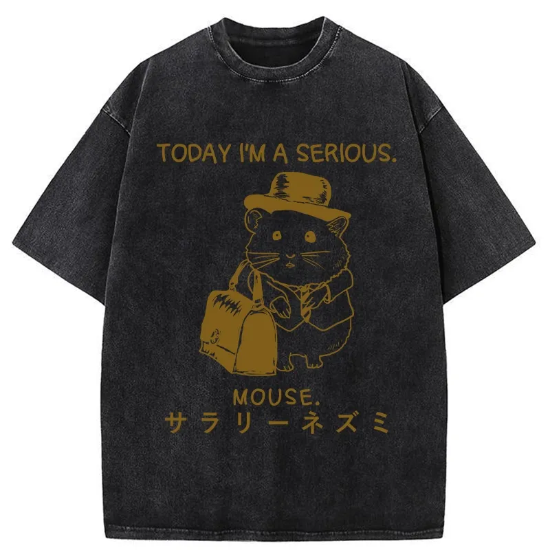 Tokyo-Tiger Today I'm A Serious Washed T-Shirt