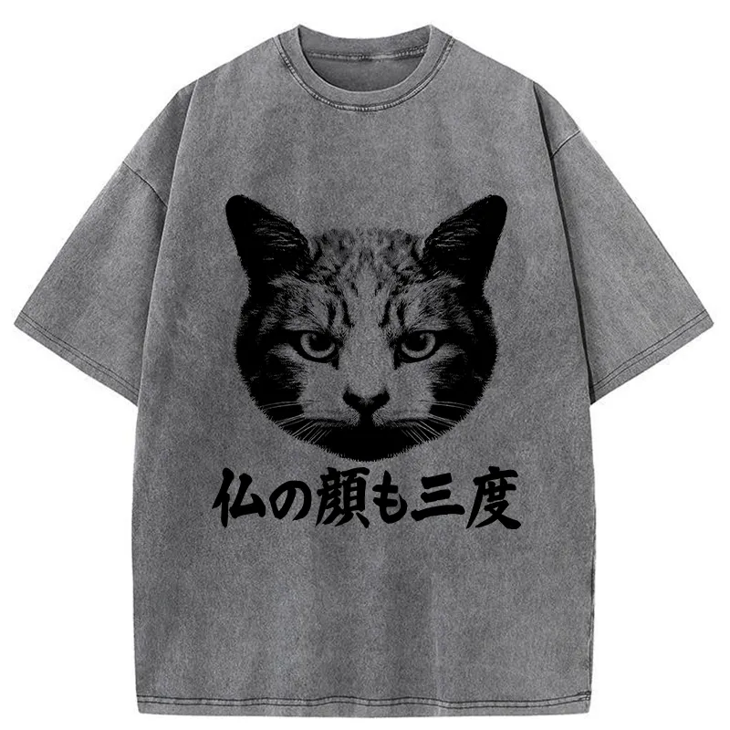 Tokyo-Tiger Cat Hits After Three Messes Washed T-Shirt
