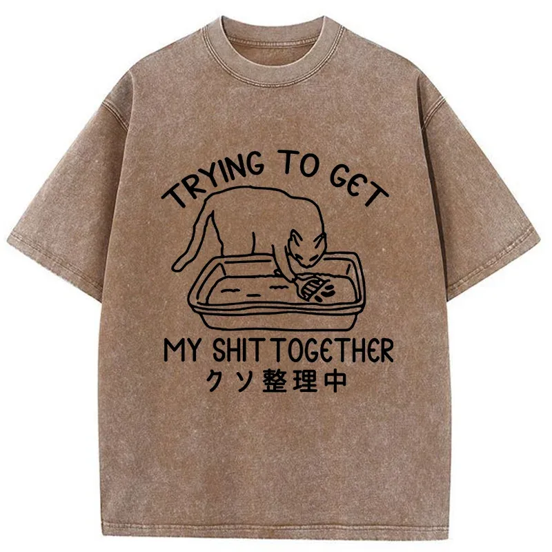 Tokyo-Tiger Cat Cleaning The Toilet Washed T-Shirt