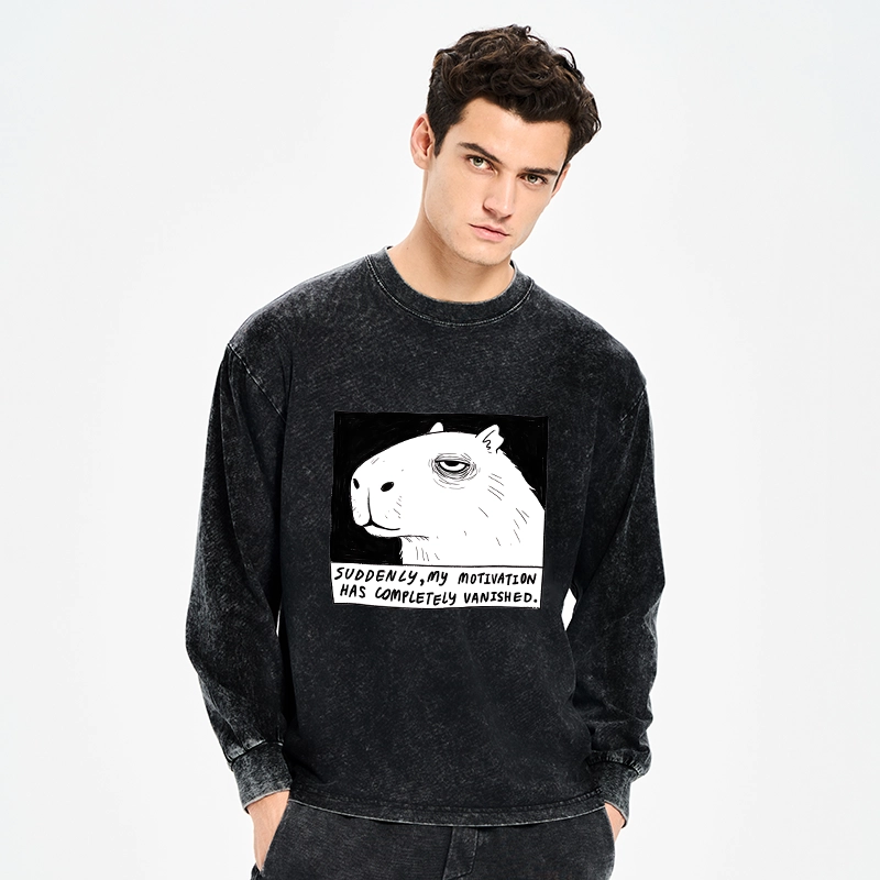 Tokyo-Tiger Power Has Completely Disappeared Washed Long Sleeve T-Shirt