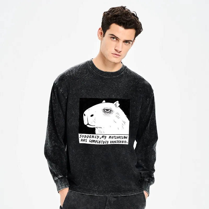 Tokyo-Tiger Power Has Completely Disappeared Washed Long Sleeve T-Shirt