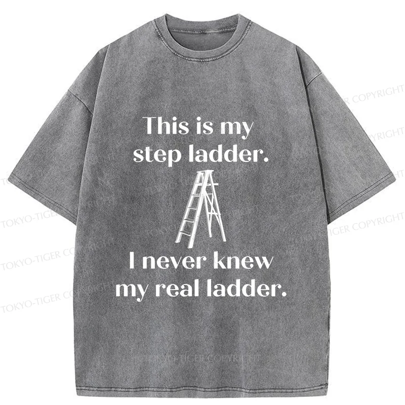Tokyo-Tiger A Real Ladder Funny Washed T-Shirt