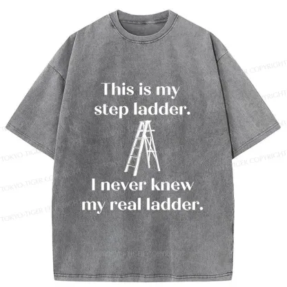 Tokyo-Tiger A Real Ladder Funny Washed T-Shirt