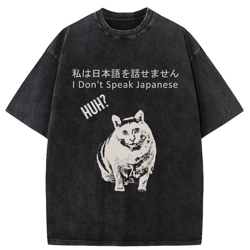 Tokyo-Tiger Cat Doesn't Speak Japanese Washed T-Shirt
