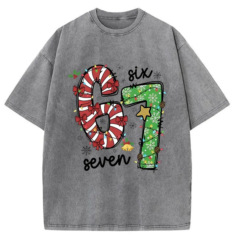 Tokyo-Tiger Six And Seven Funny Washed T-Shirt