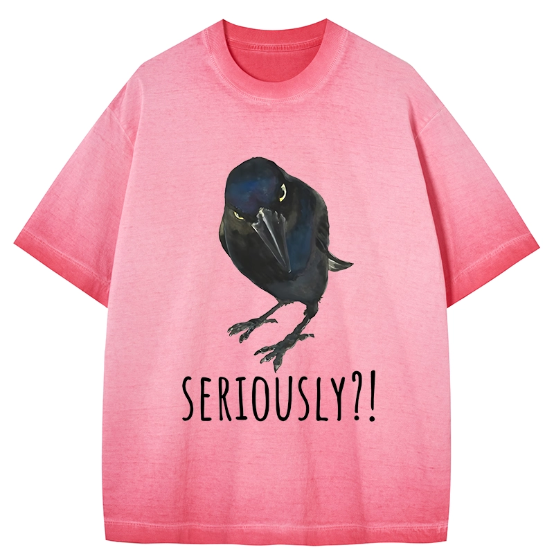 Tokyo-Tiger Raven's Question Gradient Washed T-Shirt