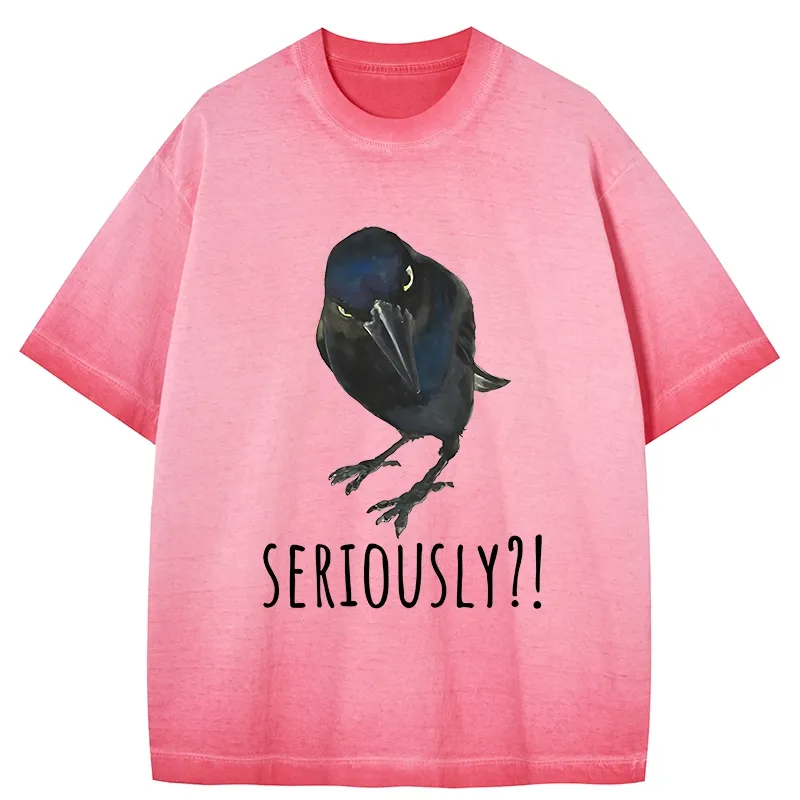 Tokyo-Tiger Raven's Question Gradient Washed T-Shirt