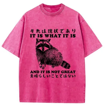 Tokyo-Tiger That Is The Current Situation Washed T-Shirt