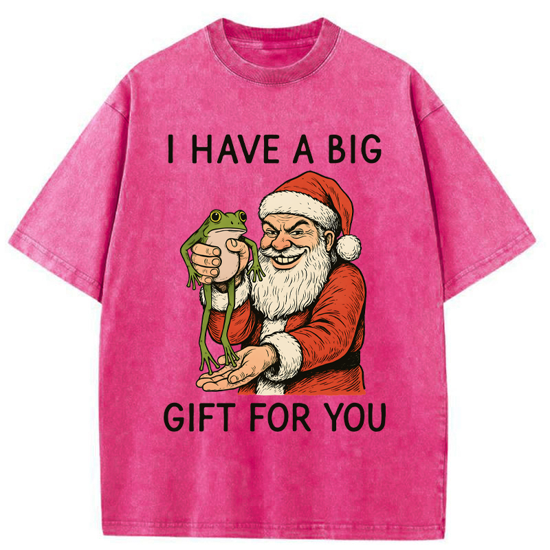 Tokyo-Tiger Santa’s Special Gift Washed T-Shirt