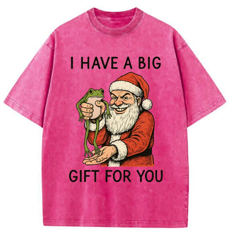 Tokyo-Tiger Santa’s Special Gift Washed T-Shirt