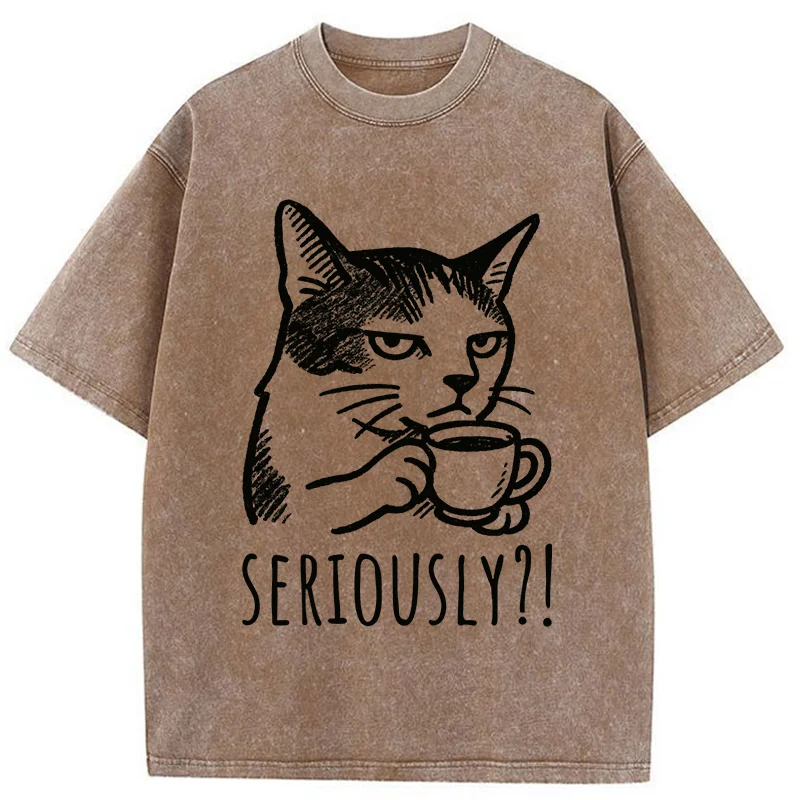Tokyo-Tiger Cat's Suspicion Washed T-Shirt
