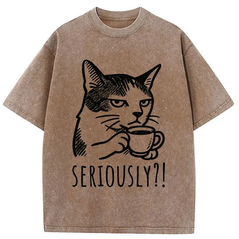 Tokyo-Tiger Cat's Suspicion Washed T-Shirt