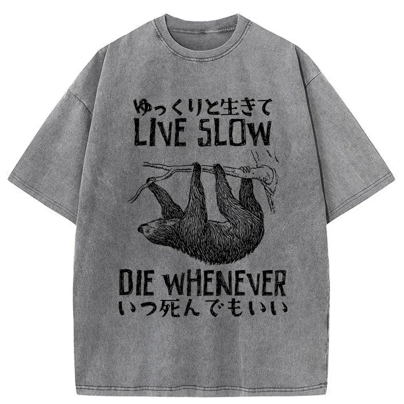Tokyo-Tiger Slow-living Sloth Washed T-Shirt