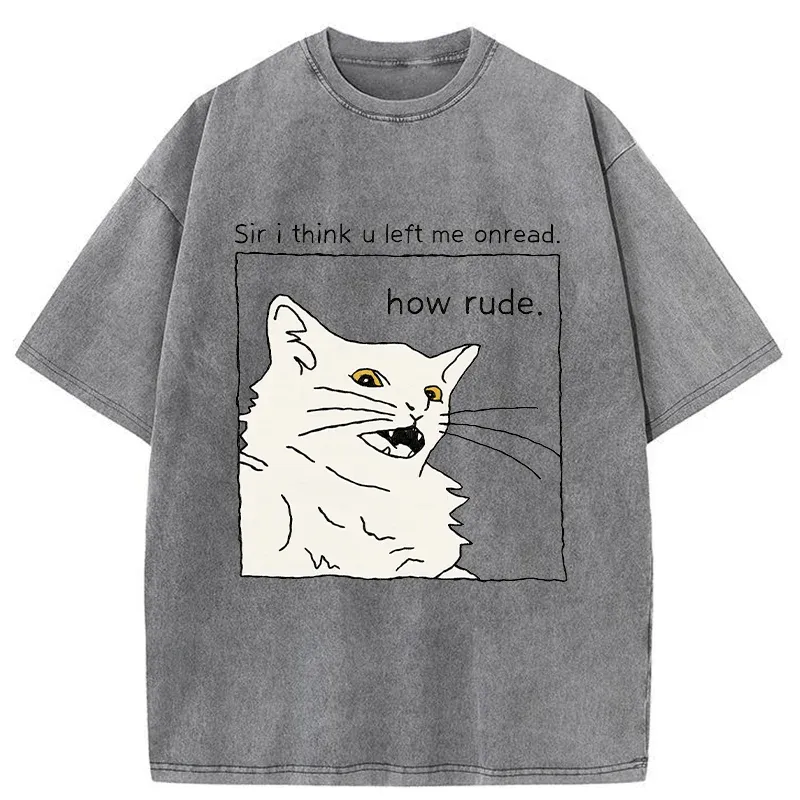 Tokyo-Tiger Cat That Condemn Humans Washed T-Shirt
