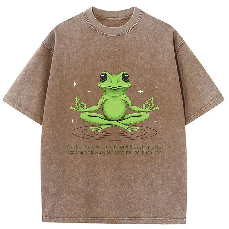 Tokyo-Tiger Zen Frog Japan Washed T-Shirt Sale