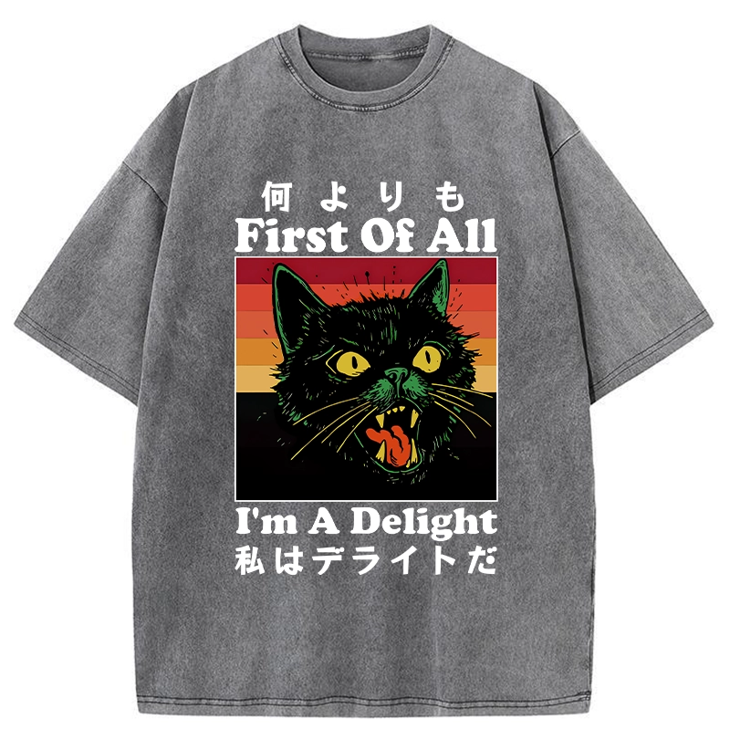 Tokyo-Tiger I'm A Delight Washed T-Shirt