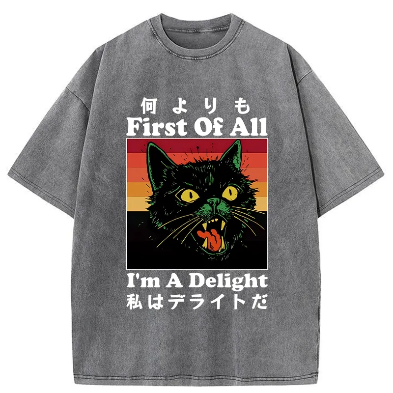 Tokyo-Tiger I'm A Delight Washed T-Shirt
