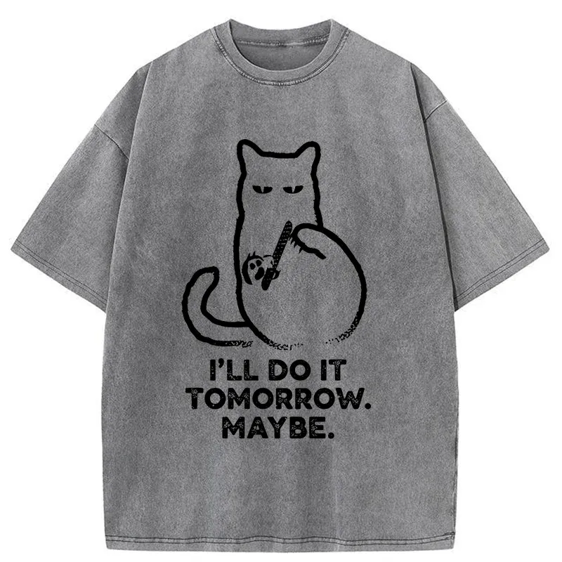 Tokyo-Tiger Do It Tomorrow Washed T-Shirt