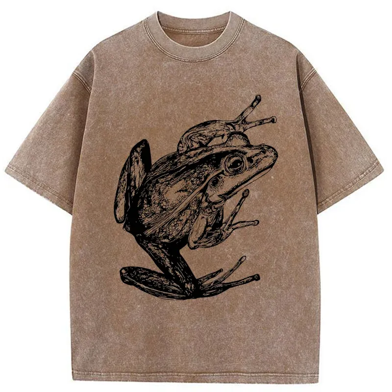 Tokyo-Tiger Retro Frog Japanese Washed T-Shirt