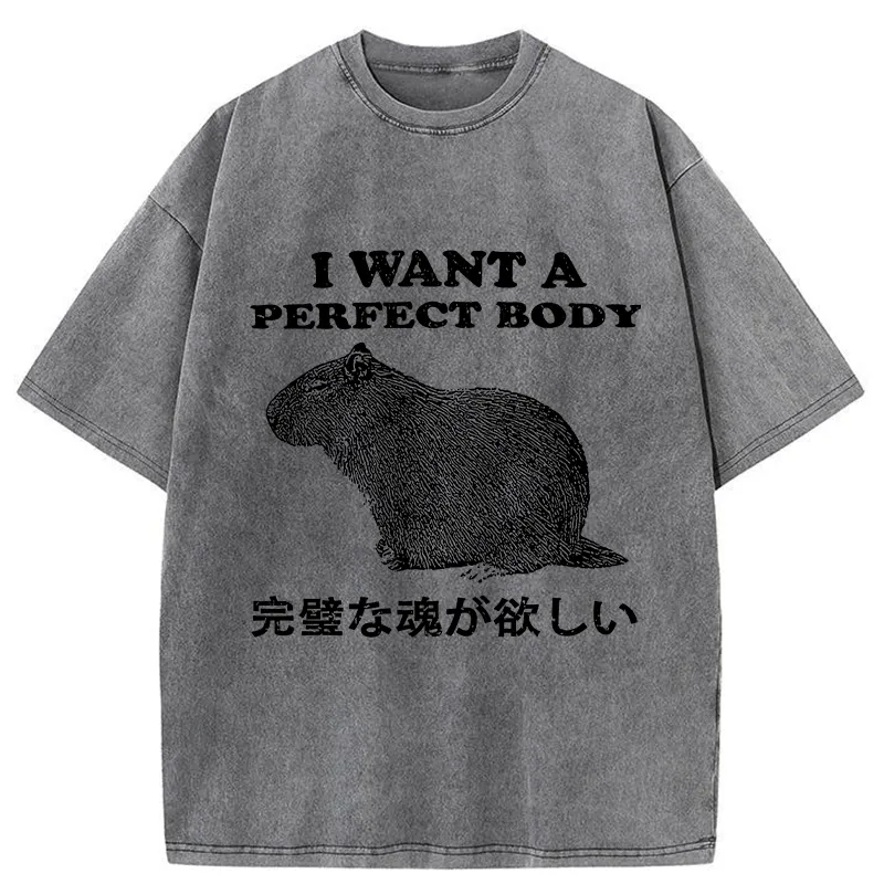 Tokyo-Tiger I Want A Perfect Body Washed T-Shirt
