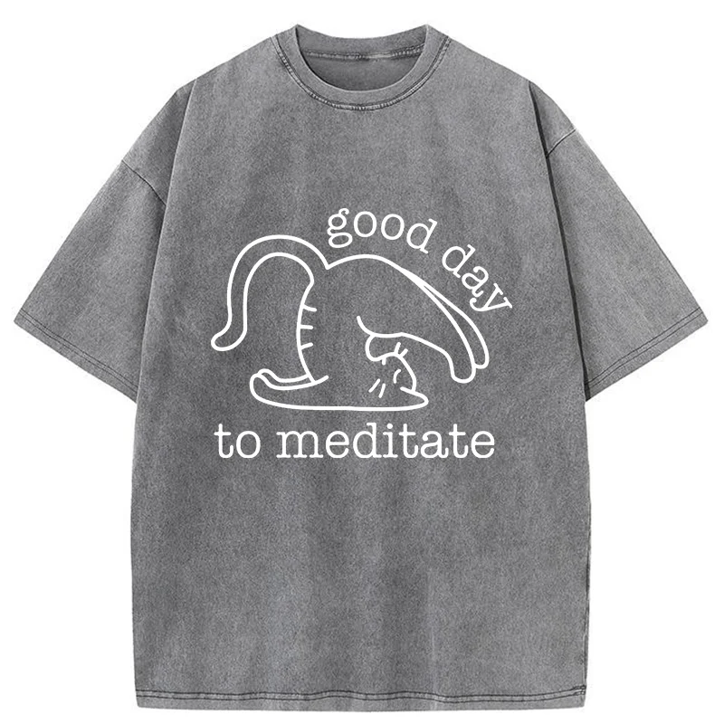 Tokyo-Tiger Cats Doing Yoga Washed T-Shirt