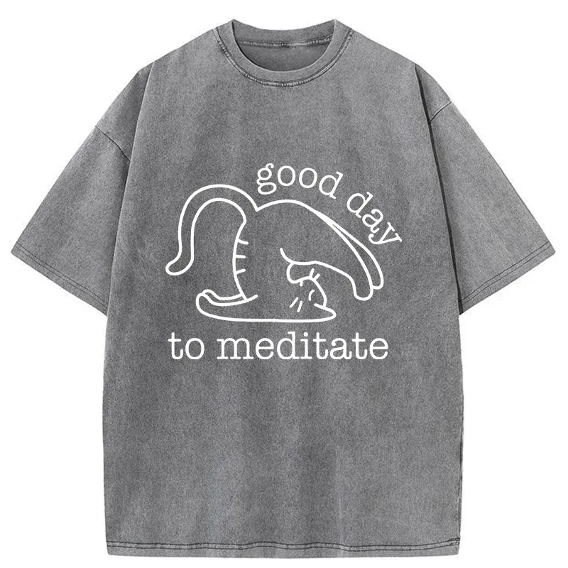 Tokyo-Tiger Cats Doing Yoga Washed T-Shirt
