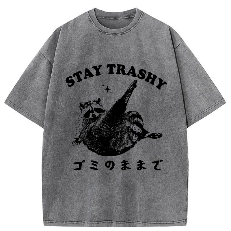 Tokyo-Tiger Raccoon Stay Trashy Washed T-Shirt