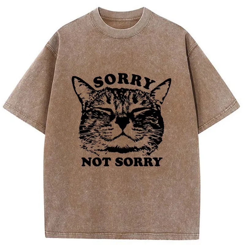 Tokyo-Tiger An Arrogant Apologizer Washed T-Shirt Sale