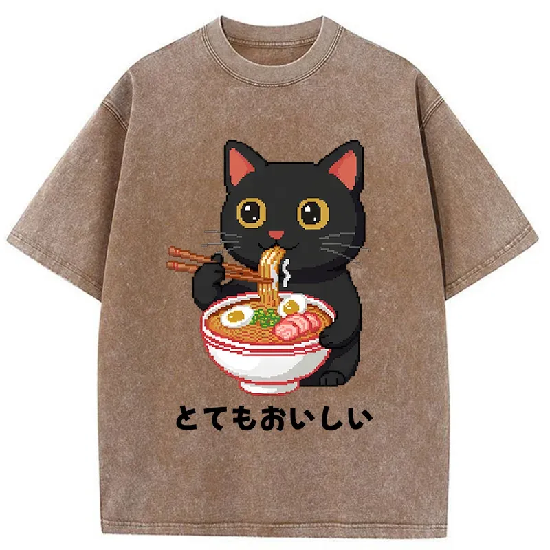 Tokyo-Tiger Black Cat Eats Ramen Pixel Art Style Washed T-Shirt