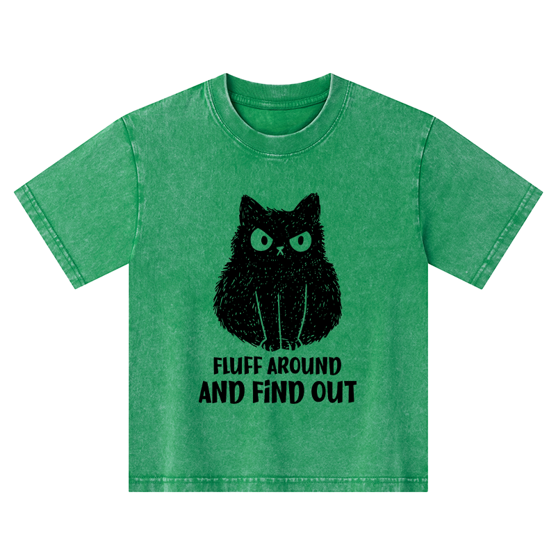 Tokyo-Tiger Consequences Of Fooling Around Kids Washed T-Shirt