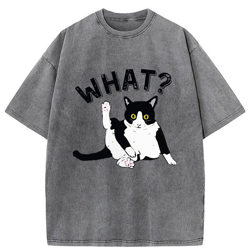 Tokyo-Tiger Cat's Question Washed T-Shirt