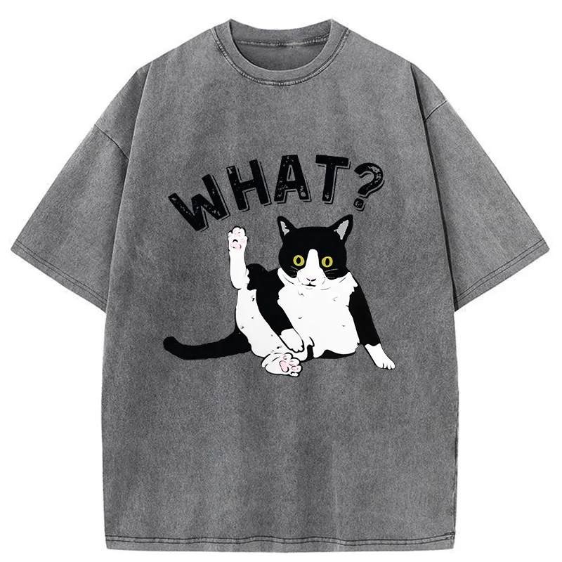 Tokyo-Tiger Cat's Question Washed T-Shirt
