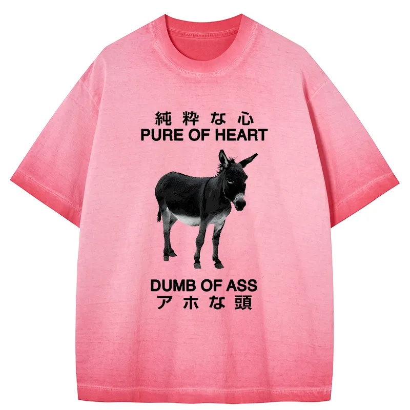 Tokyo-Tiger Pure Of Heart Dumb Of Ass Gradient Washed T-Shirt