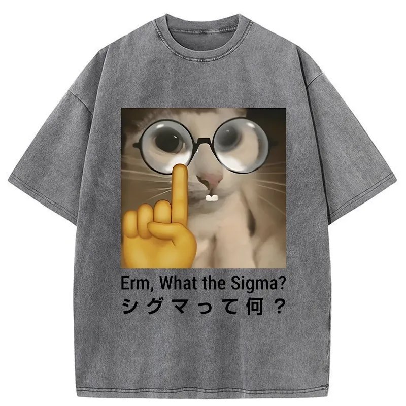 Tokyo-Tiger Erm What The Sigma Washed T-Shirt