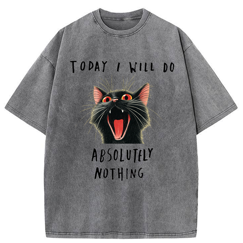 Tokyo-Tiger Today I Will Do Absolutely Nothing Washed T-Shirt