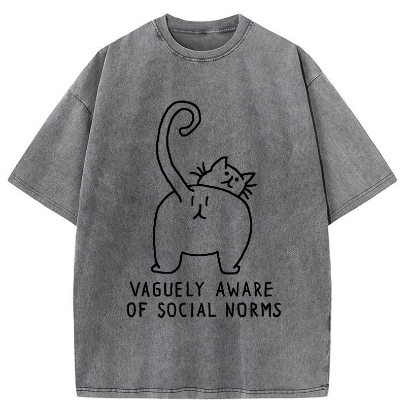 Tokyo-Tiger Vague Understanding Funny Washed T-Shirt