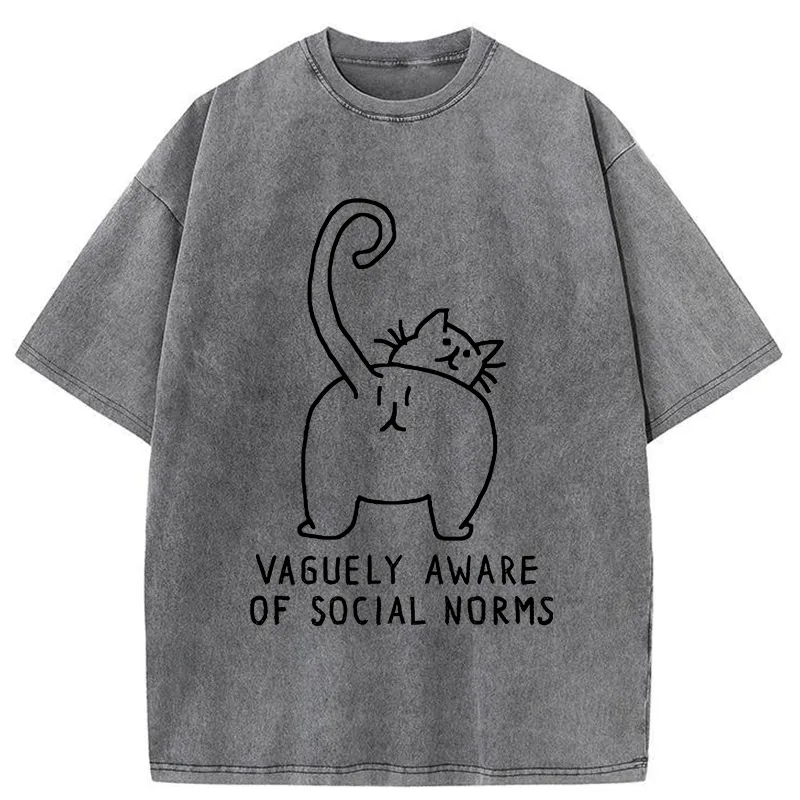 Tokyo-Tiger Vague Understanding Funny Washed T-Shirt Sale