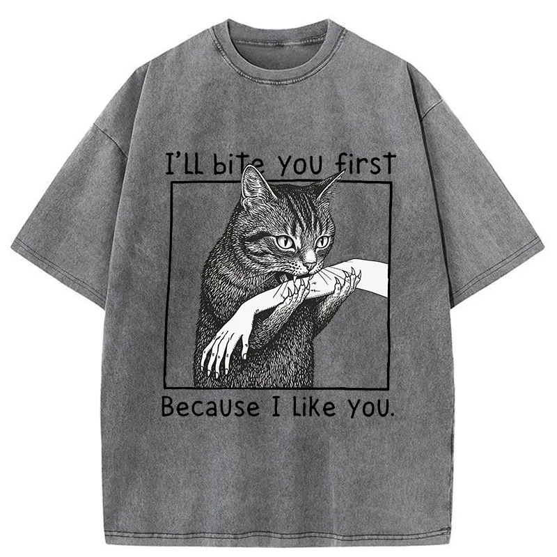 Tokyo-Tiger I Bit You Because I Love You So Much Washed T-Shirt