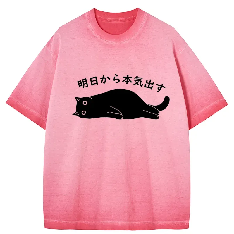 Tokyo-Tiger I'm Going To Get Serious Tomorrow Gradient Washed T-Shirt