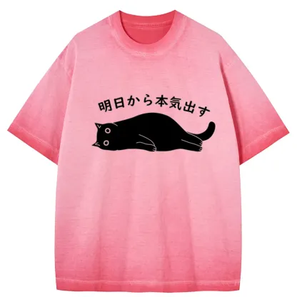 Tokyo-Tiger I'm Going To Get Serious Tomorrow Gradient Washed T-Shirt
