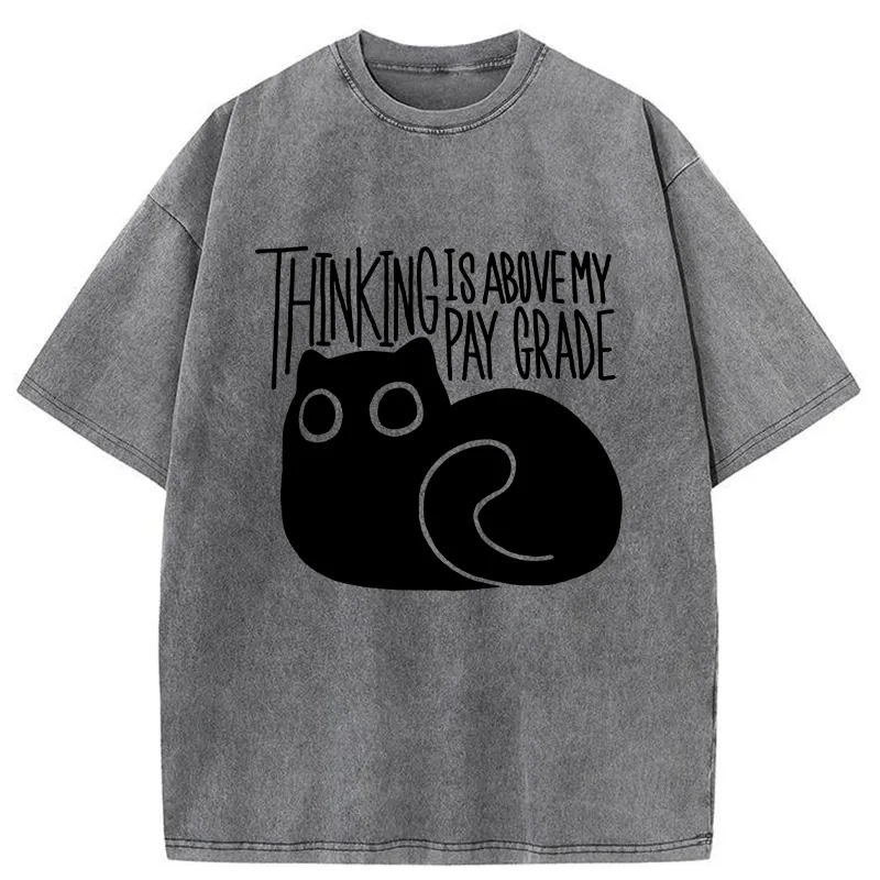 Tokyo-Tiger Thinking Crash Cat Washed T-Shirt Sale